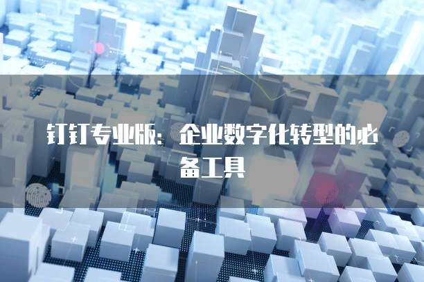 钉钉专业版：企业数字化转型的必备工具