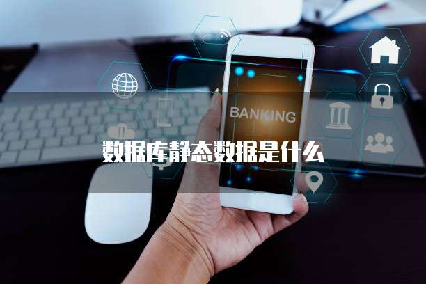 数据库静态数据是什么