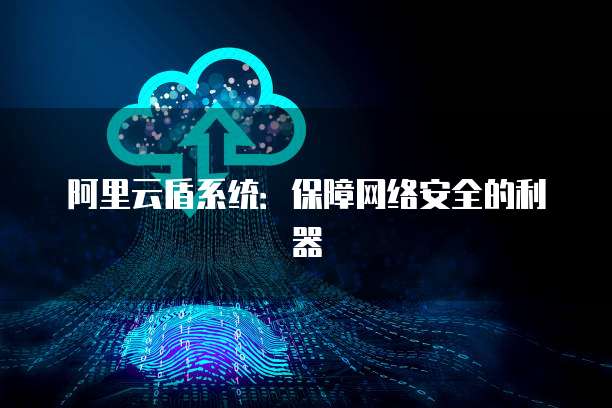 阿里云盾系统：保障网络安全的利器