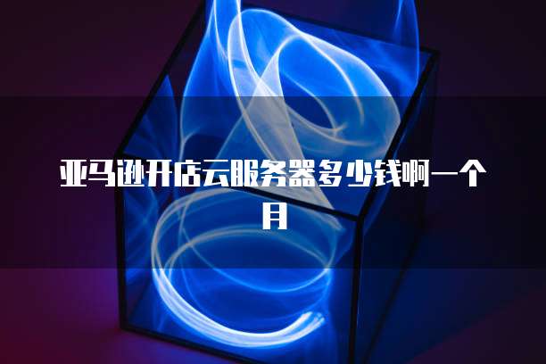 亚马逊开店云服务器多少钱啊一个月