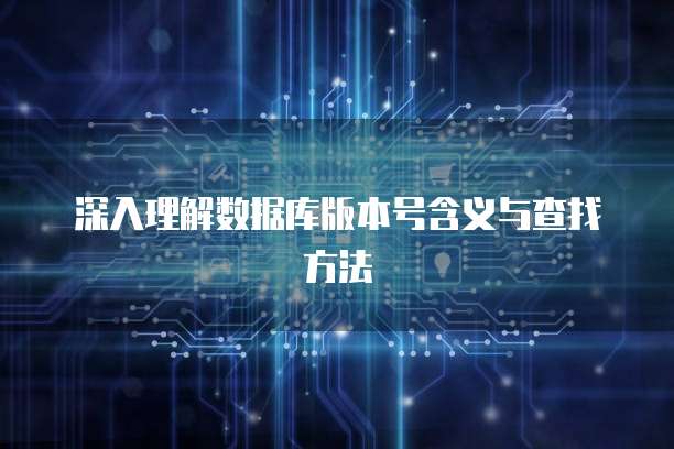 深入理解数据库版本号含义与查找方法