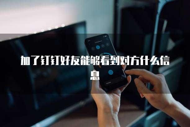 加了钉钉好友能够看到对方什么信息