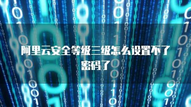 阿里云安全等级三级怎么设置不了密码了