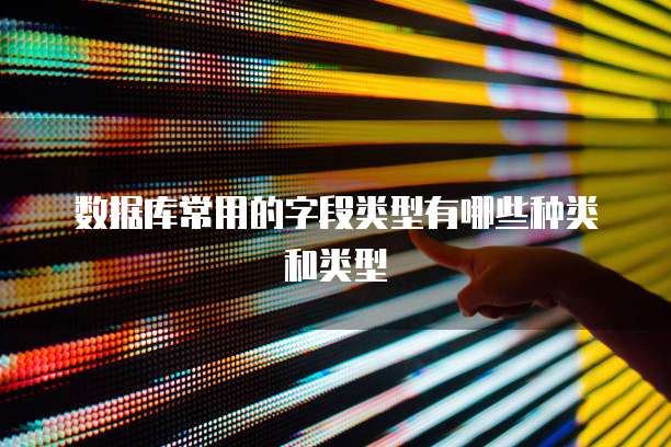 数据库常用的字段类型有哪些种类和类型