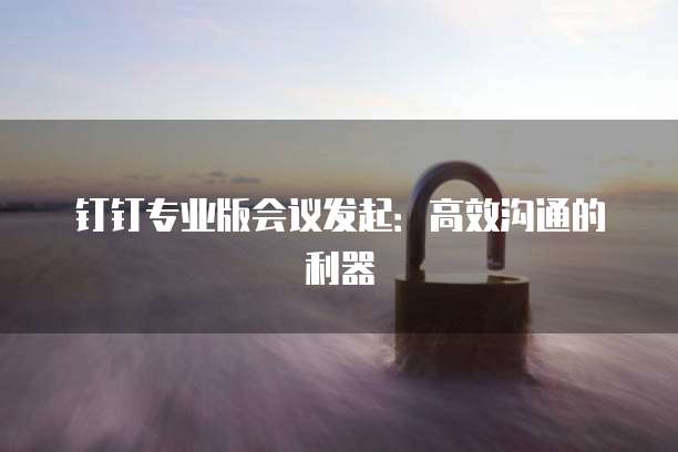 钉钉专业版会议发起：高效沟通的利器