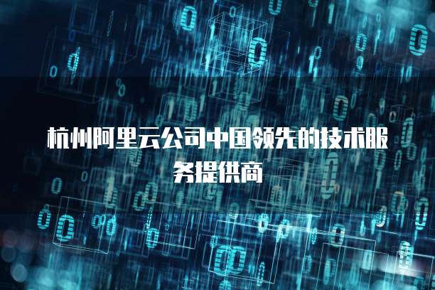 杭州阿里云公司中国领先的技术服务提供商