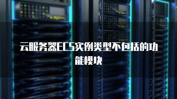 云服务器ECS实例类型不包括的功能模块