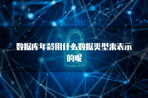 数据库年龄用什么数据类型来表示的呢
