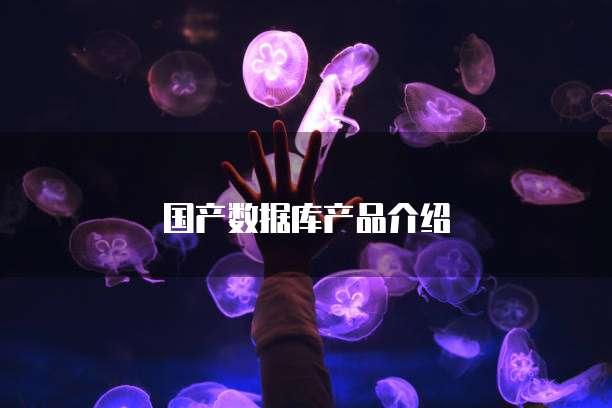 国产数据库产品介绍