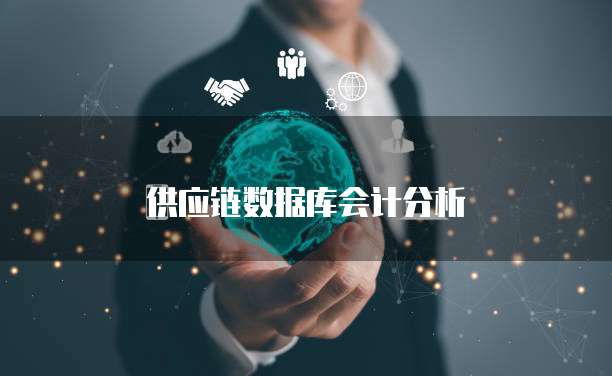 供应链数据库会计分析