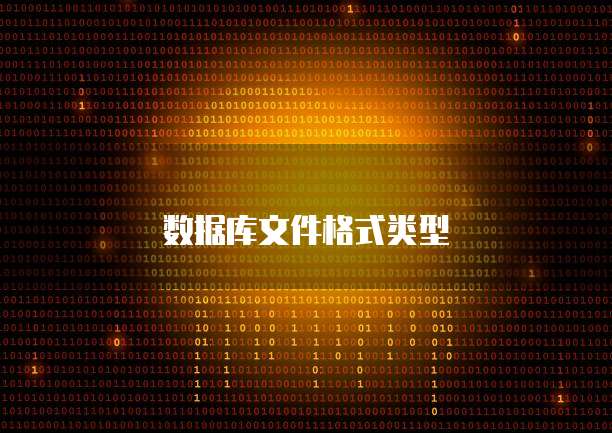 数据库文件格式类型