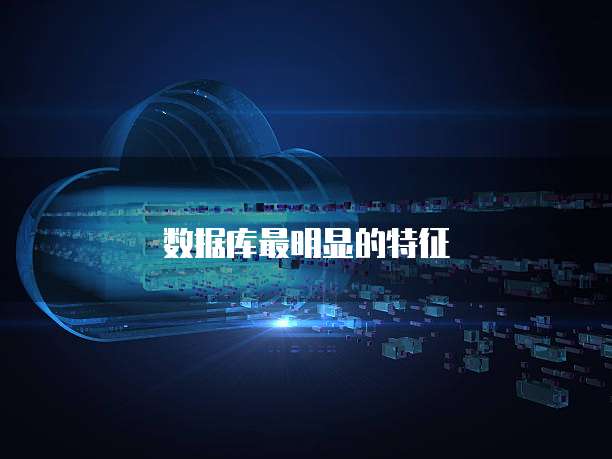 数据库最明显的特征