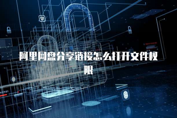阿里网盘分享链接怎么打开文件权限