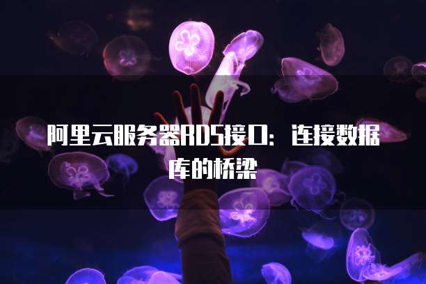 阿里云服务器RDS接口：连接数据库的桥梁