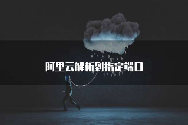 阿里云解析到指定端口