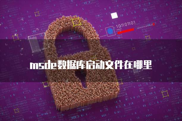 msde数据库启动文件在哪里