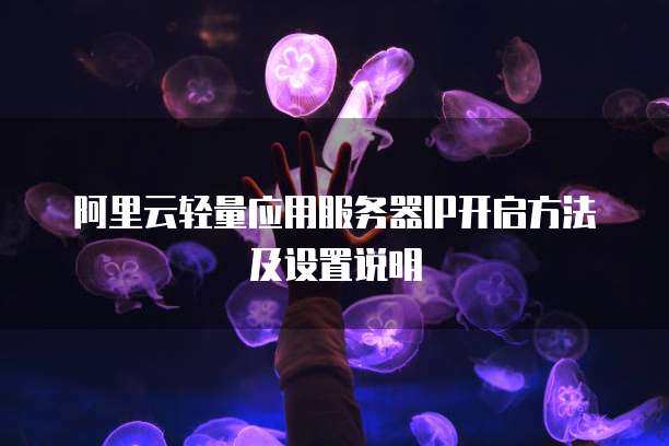 阿里云轻量应用服务器IP开启方法及设置说明