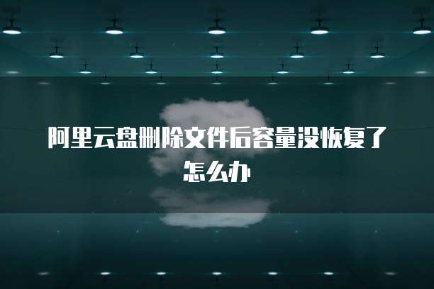 阿里云盘删除文件后容量没恢复了怎么办