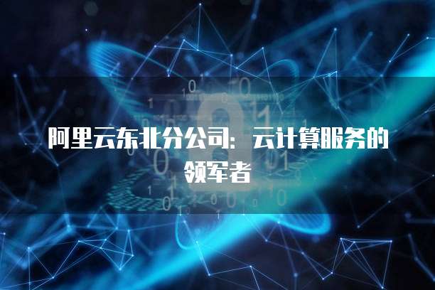 阿里云东北分公司：云计算服务的领军者