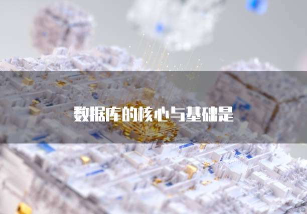 数据库的核心与基础是