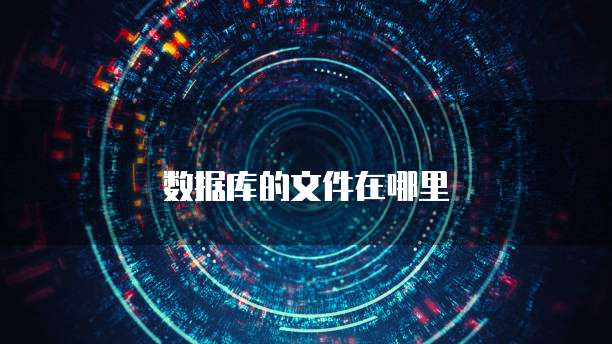 数据库的文件在哪里
