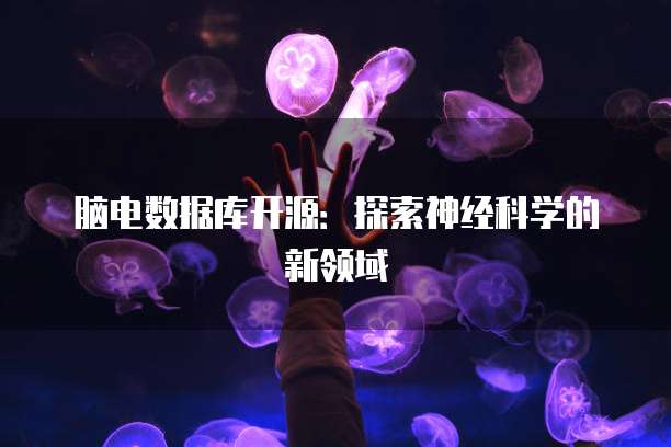 脑电数据库开源：探索神经科学的新领域