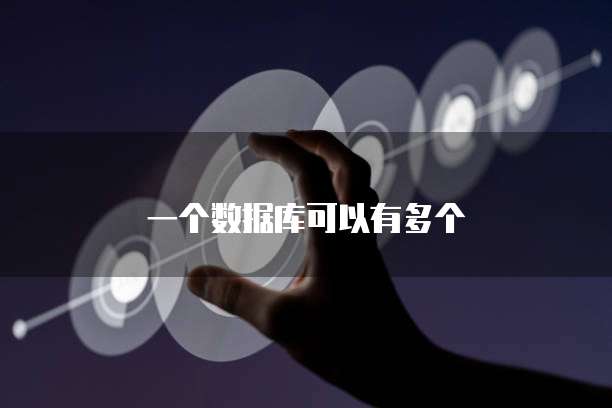 一个数据库可以有多个