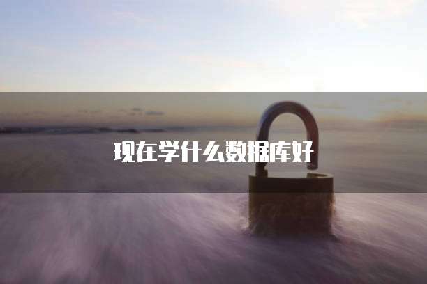 现在学什么数据库好
