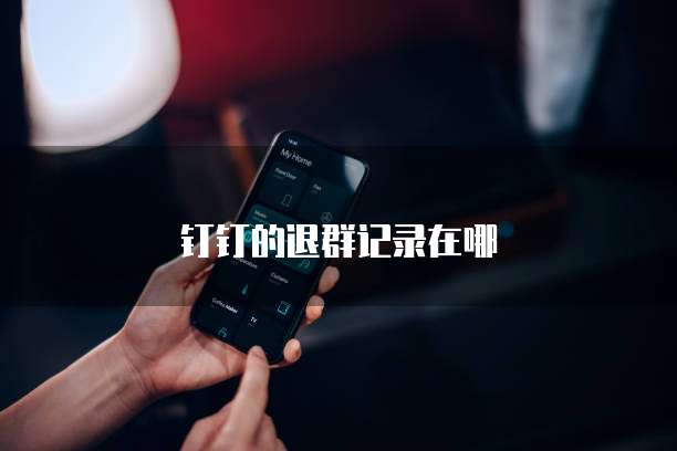 钉钉的退群记录在哪