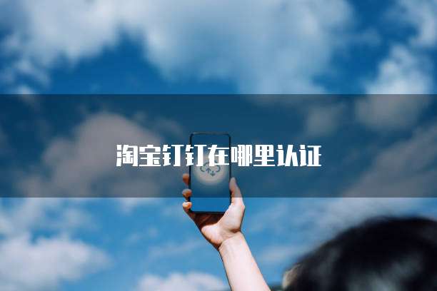 淘宝钉钉在哪里认证