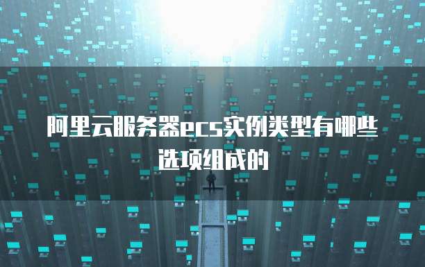 阿里云服务器ecs实例类型有哪些选项组成的