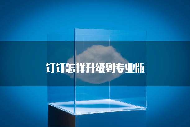 钉钉怎样升级到专业版