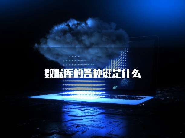 数据库的各种键是什么