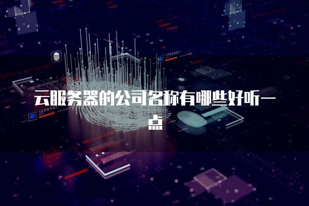 云服务器的公司名称有哪些好听一点