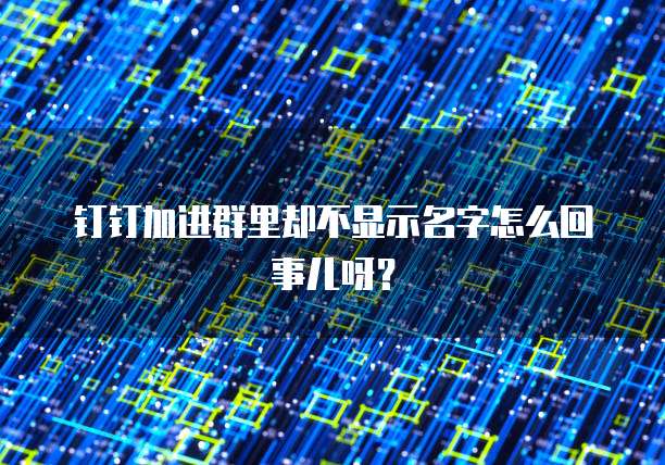 钉钉加进群里却不显示名字怎么回事儿呀？