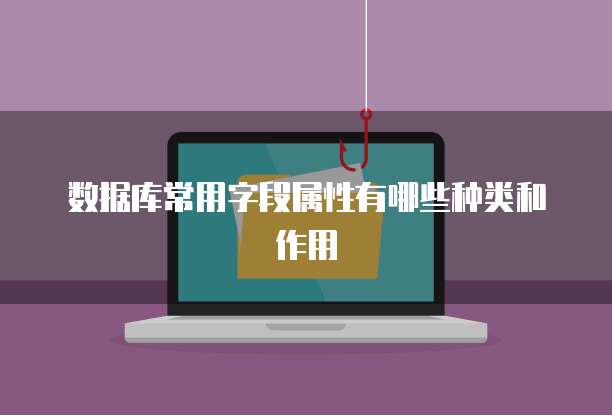 数据库常用字段属性有哪些种类和作用