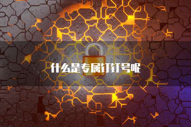 什么是专属钉钉号呢