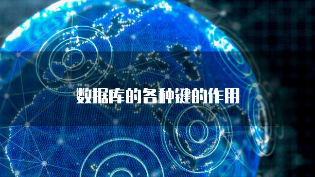 数据库的各种键的作用