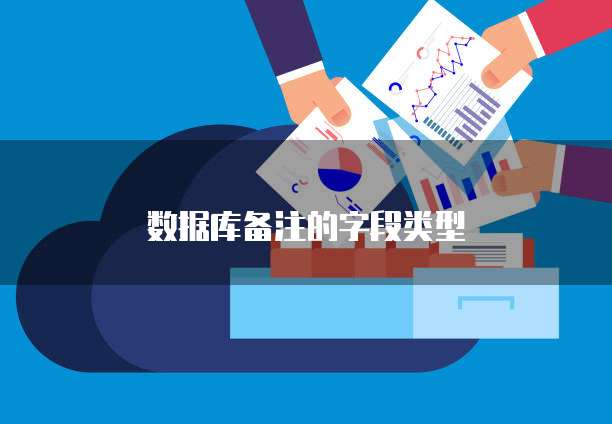 数据库备注的字段类型