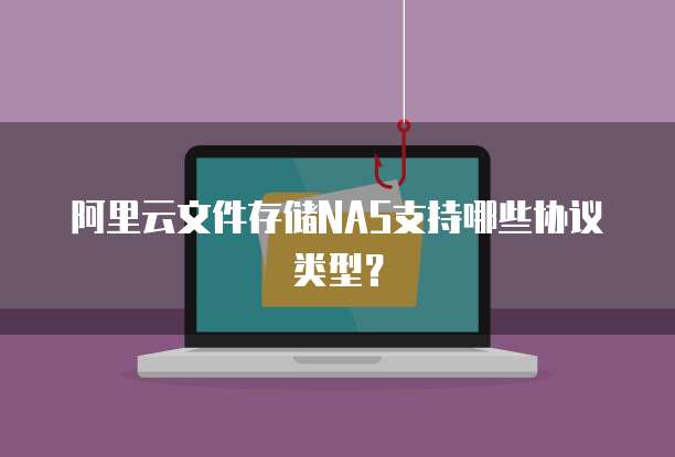 阿里云文件存储NAS支持哪些协议类型？