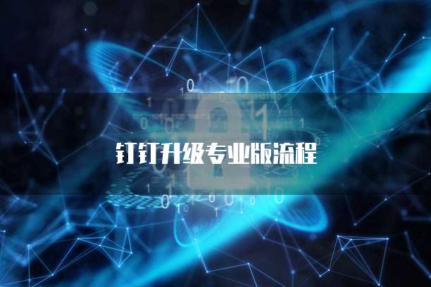 钉钉升级专业版流程