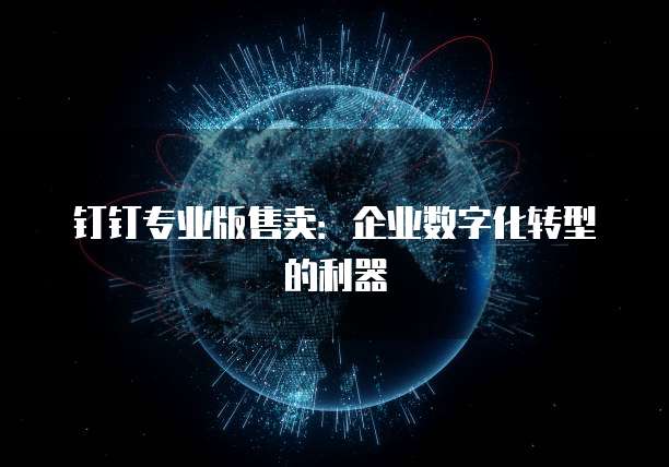 钉钉专业版售卖：企业数字化转型的利器