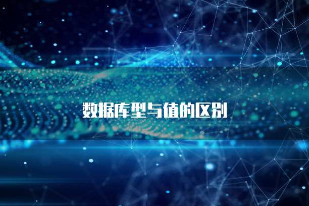 数据库型与值的区别