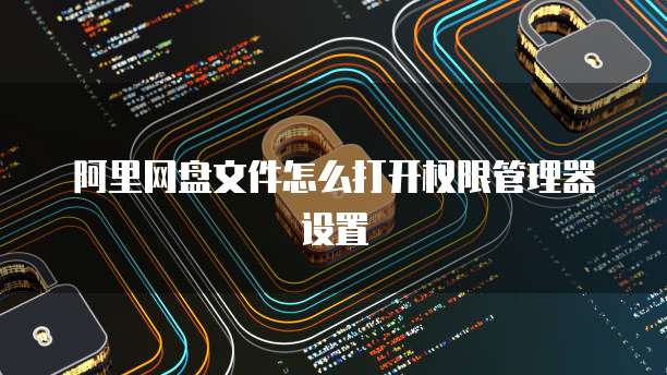阿里网盘文件怎么打开权限管理器设置