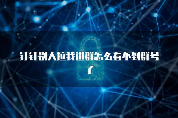 钉钉别人拉我进群怎么看不到群号了