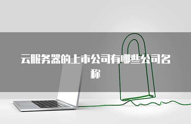 云服务器的上市公司有哪些公司名称