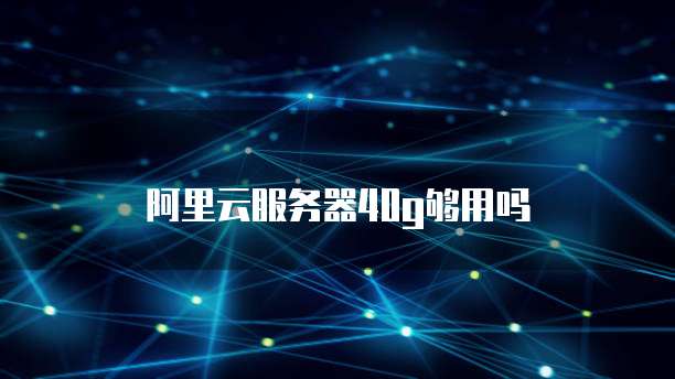 阿里云服务器40g够用吗