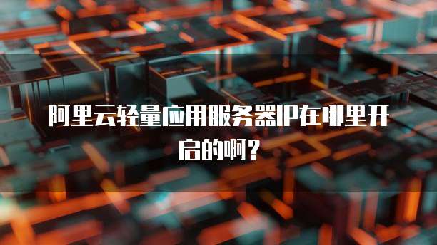 阿里云轻量应用服务器IP在哪里开启的啊？
