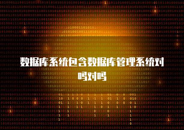 数据库系统包含数据库管理系统对吗对吗