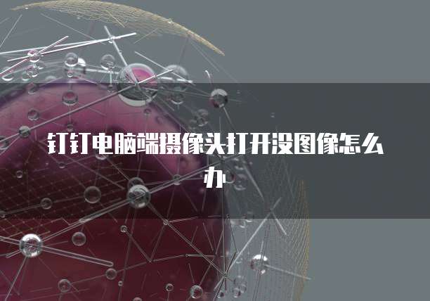 钉钉电脑端摄像头打开没图像怎么办